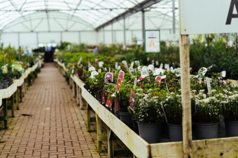 Garden center 2 768x512