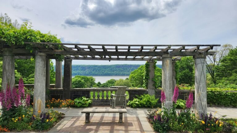 Garden center 768x432