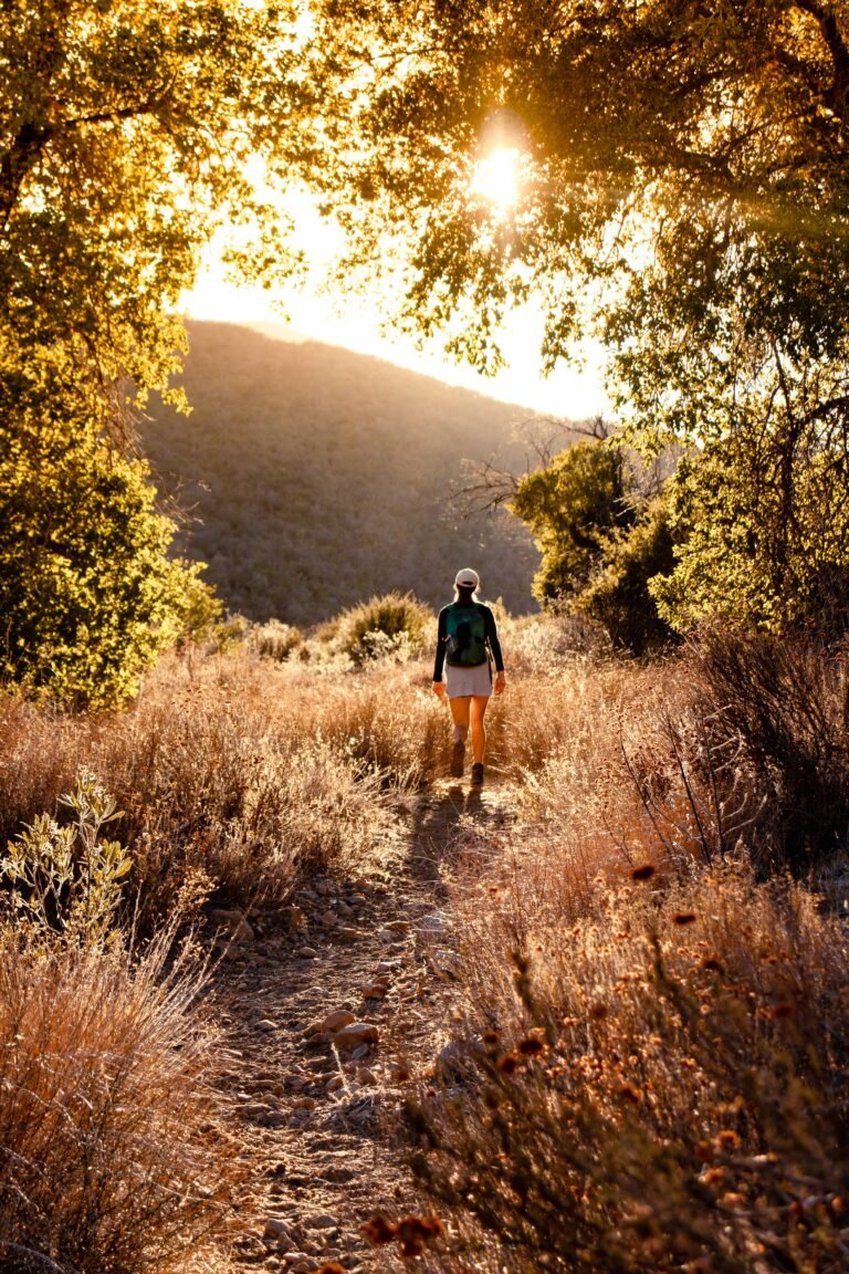 TrailWalk 768x1152