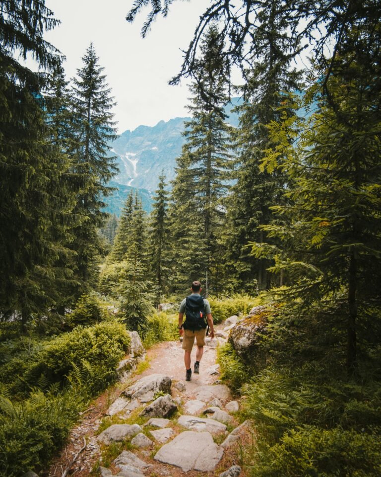 josh hild YvxTVlxhd6A unsplash 768x960